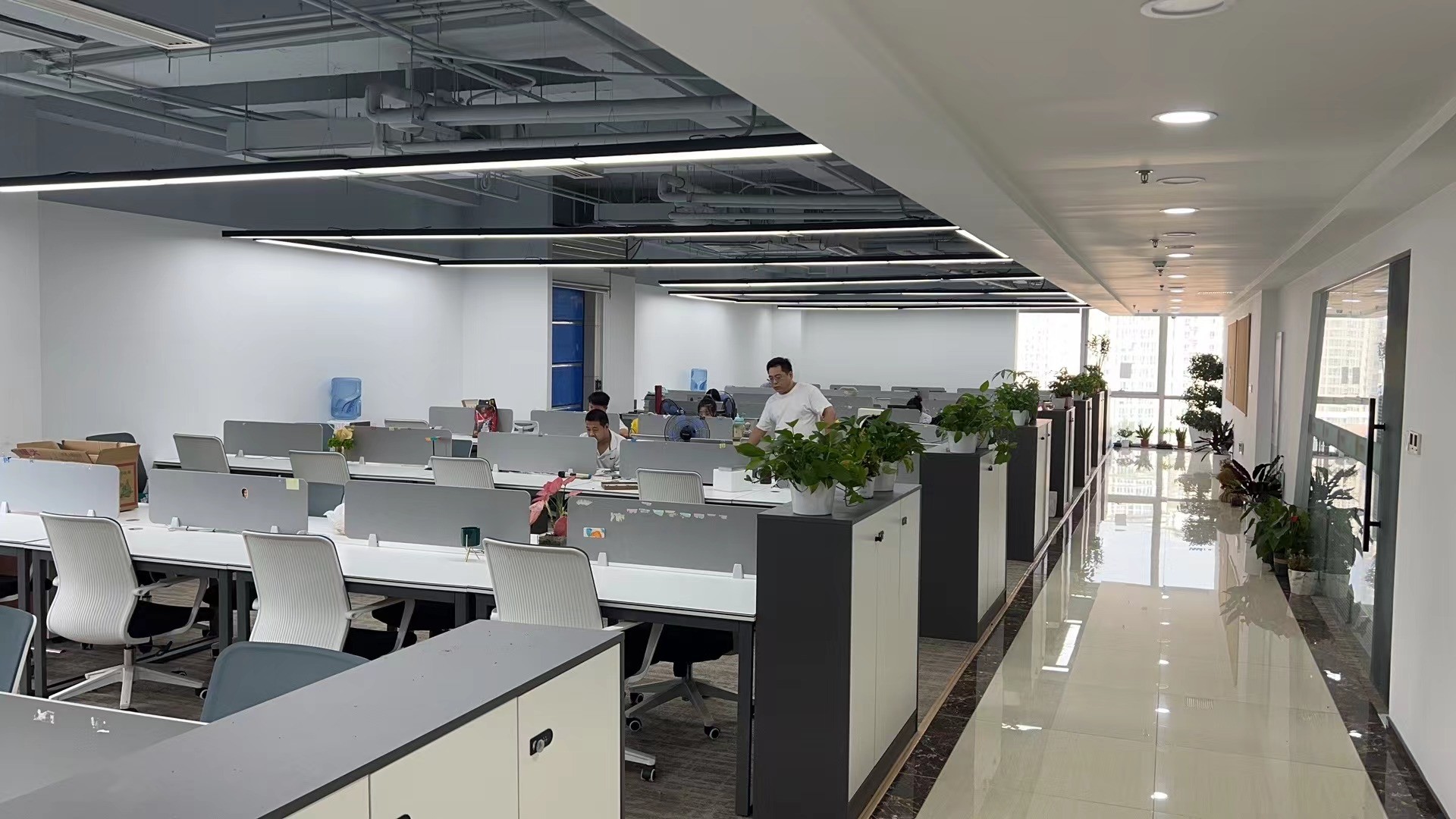 Κίνα Pro-Digital Technology Limited Εταιρικό Προφίλ